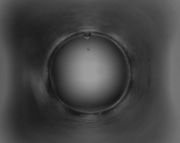 X0000100401167200806061310