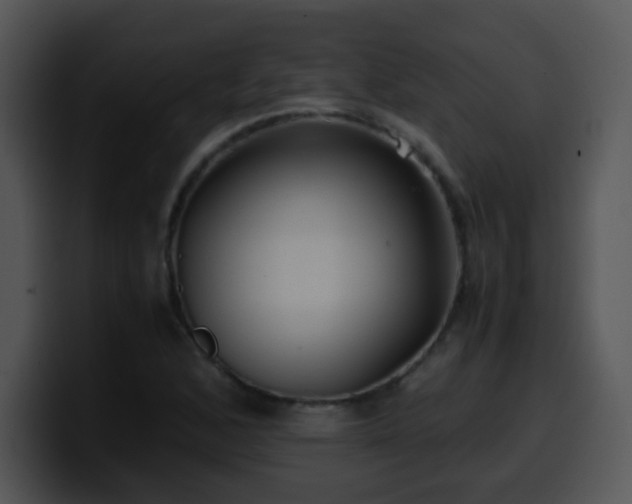 X0000100401168200806061310
