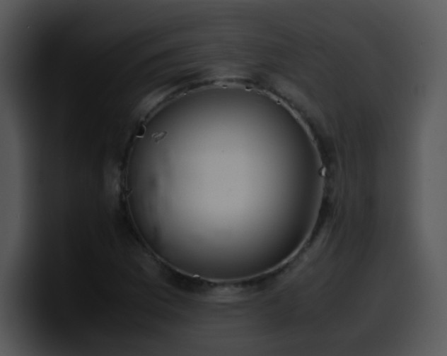 X0000100401169200806061309