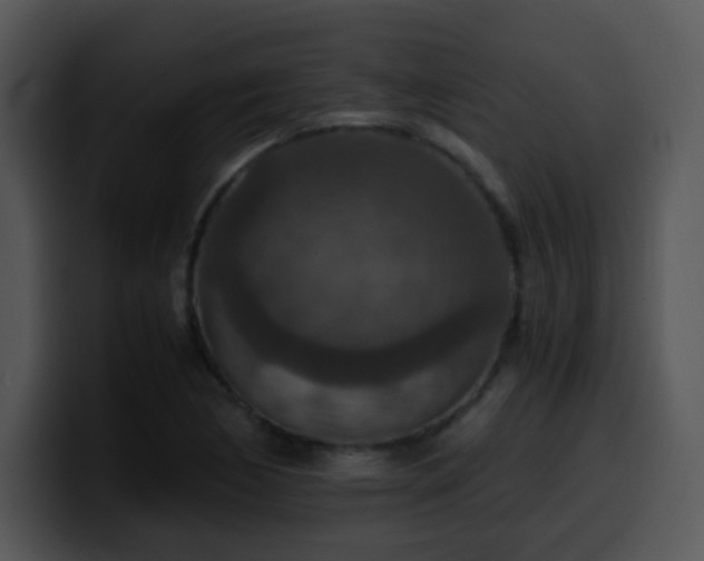 X0000100401170200806061309