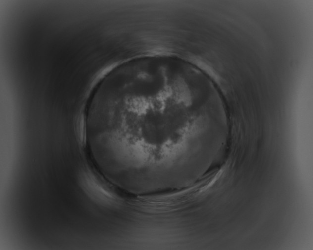X0000100401171200806061309