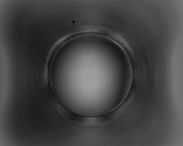 X0000100401172200806061309