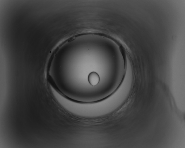 X0000100401173200806061309