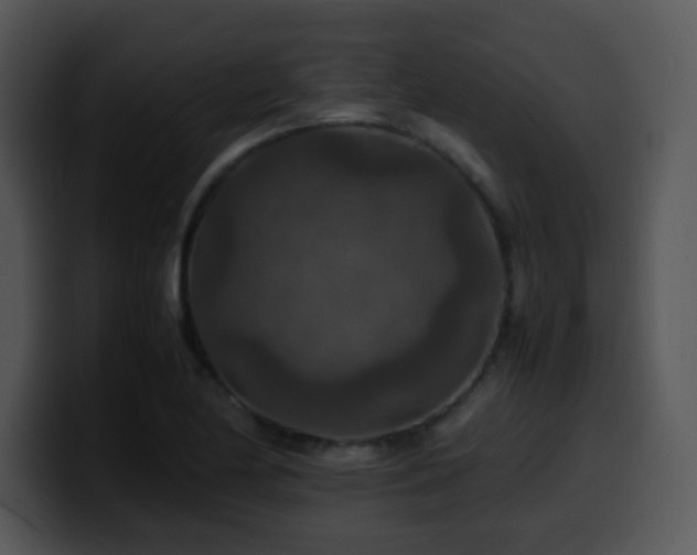 X0000100401174200806061309