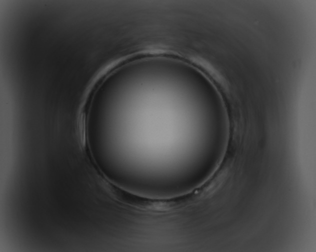 X0000100401175200806061309