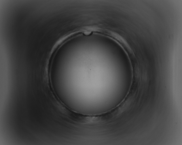 X0000100401176200806061309