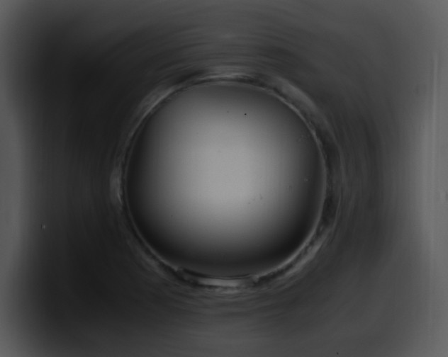X0000100401177200806061309