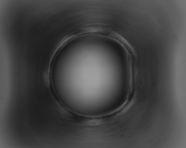 X0000100401178200806061309