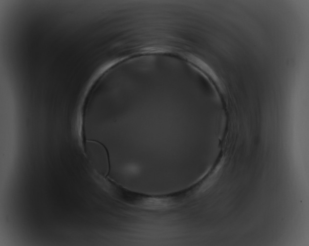 X0000100401179200806061309