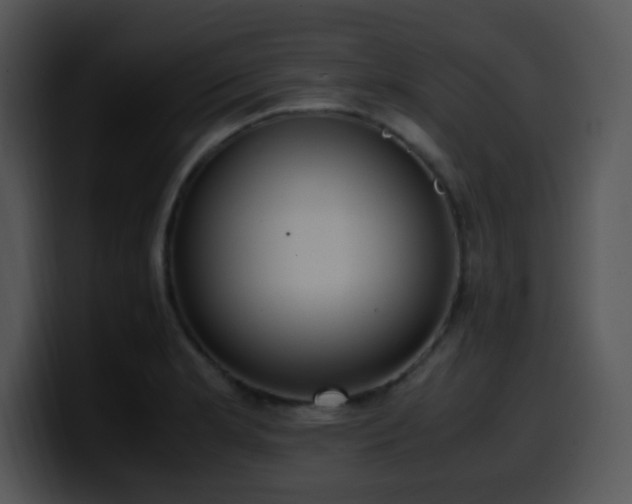X0000100401181200806061309