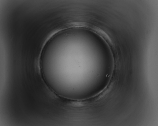 X0000100401182200806061309