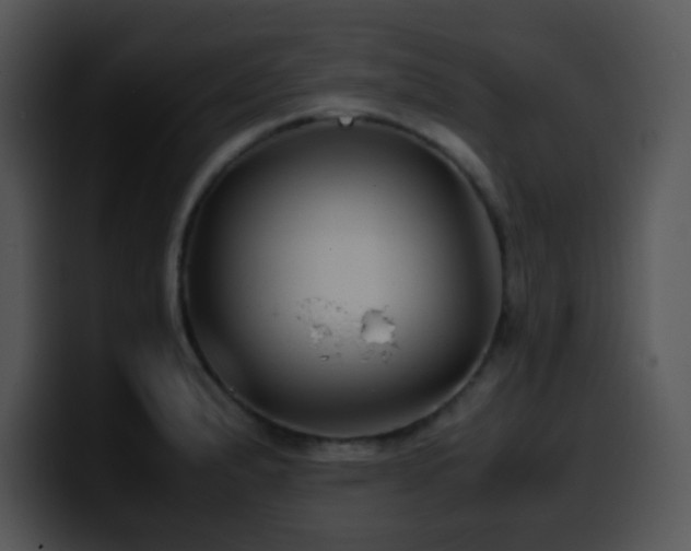 X0000100401183200806061309