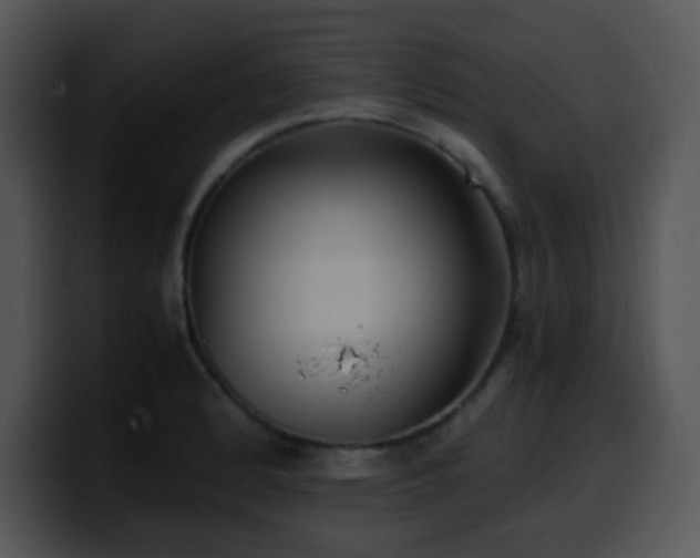 X0000100401184200806061309