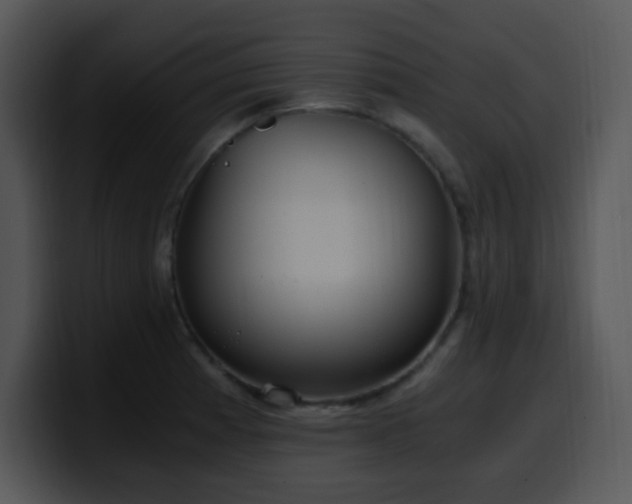X0000100401185200806061309