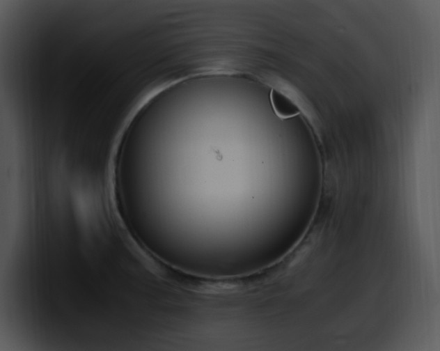 X0000100401187200806061309