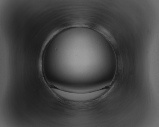 X0000100401188200806061309