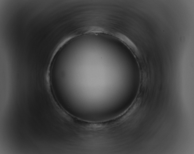 X0000100401190200806061309