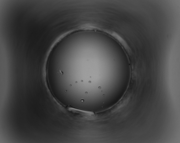 X0000100401191200806061309