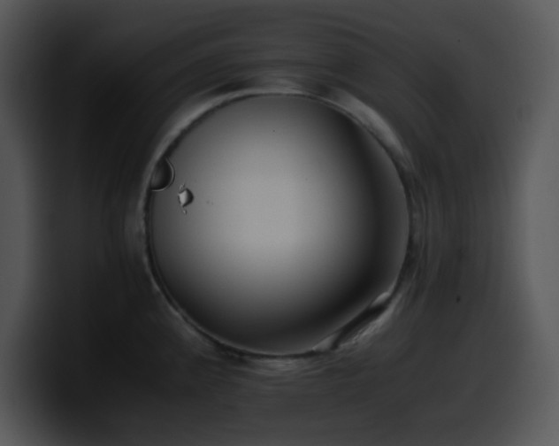 X0000100401192200806061309