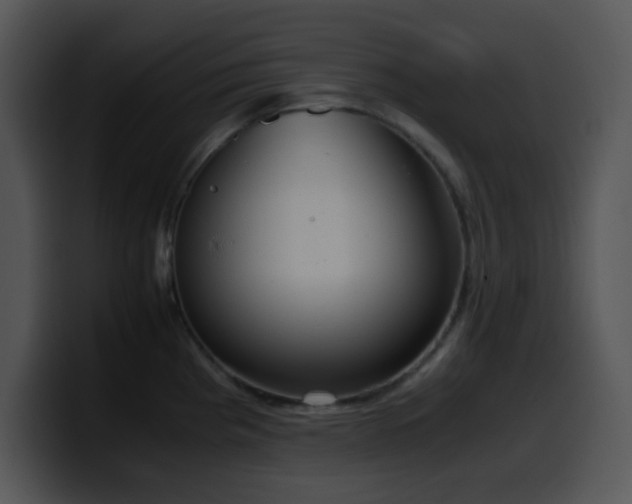 X0000100401193200806061309