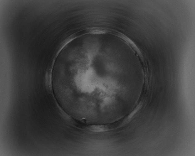 X0000100401194200806061309