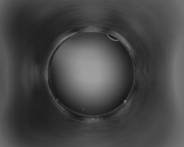 X0000100401195200806061309