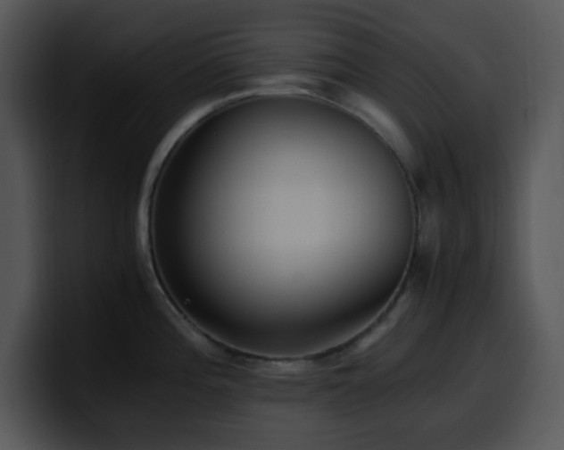 X0000100401196200806061309