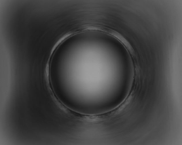 X0000100401198200806061309