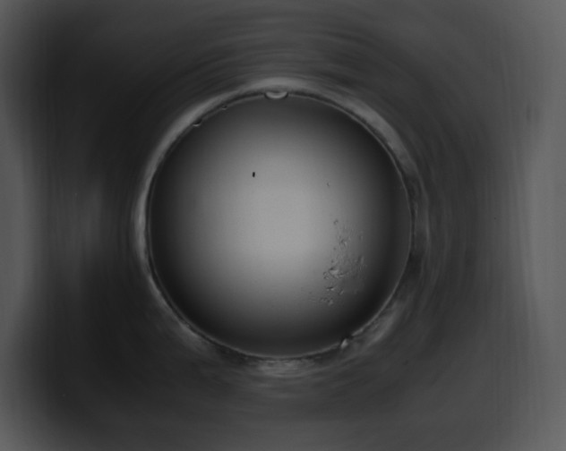 X0000100401199200806061309