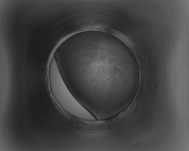 X0000100401200200806061309