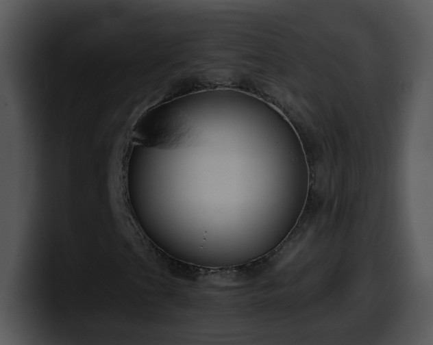 X0000100401201200806061308