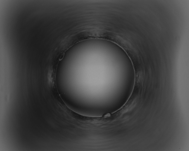 X0000100401202200806061308