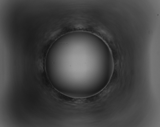X0000100401205200806061308
