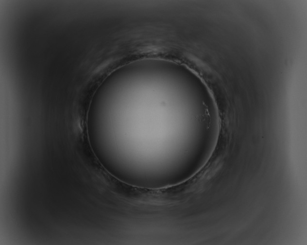 X0000100401206200806061308
