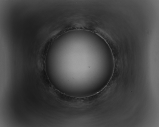 X0000100401207200806061309