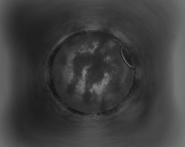 X0000100401208200806061309