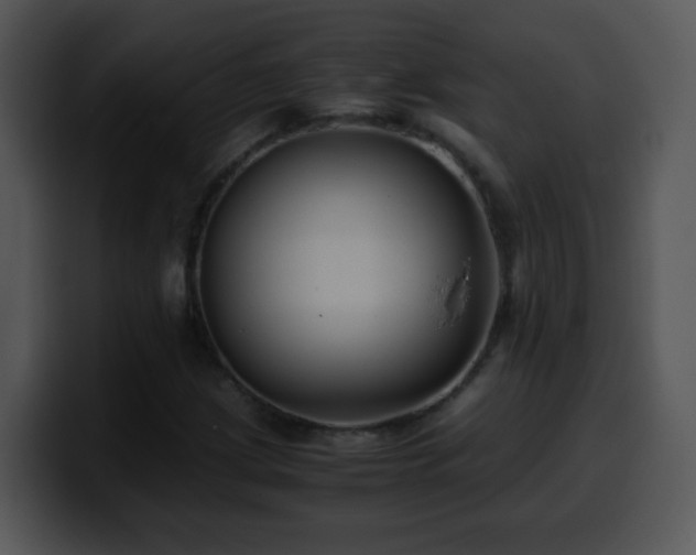 X0000100401209200806061309