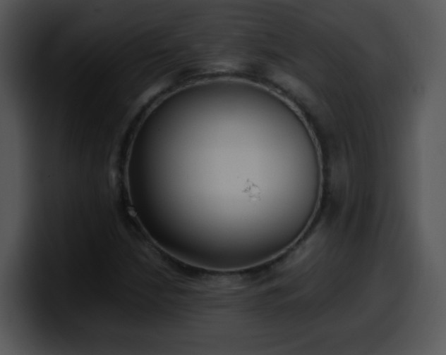X0000100401210200806061309