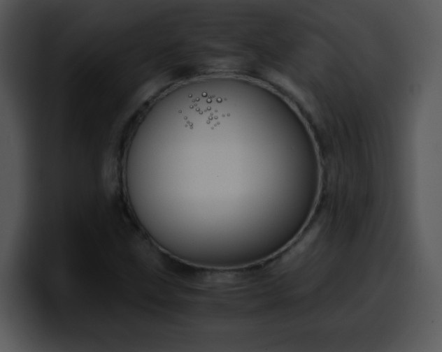 X0000100401211200806061309