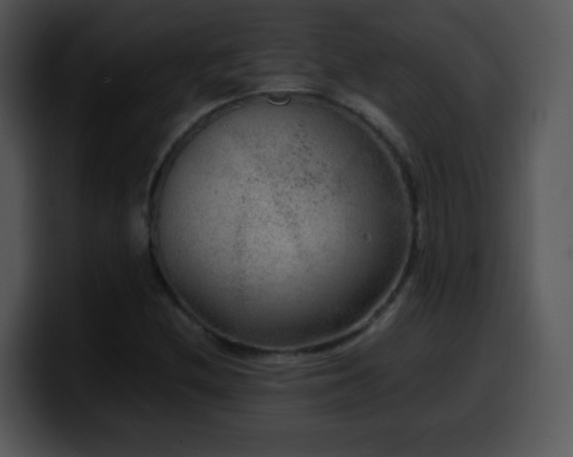 X0000100401212200806061309