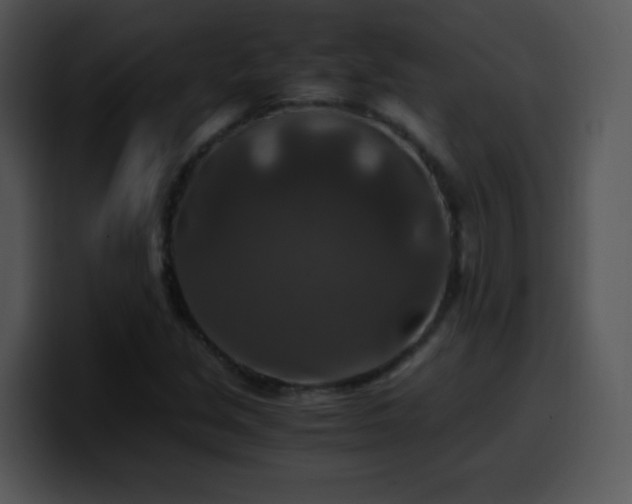 X0000100401213200806061309