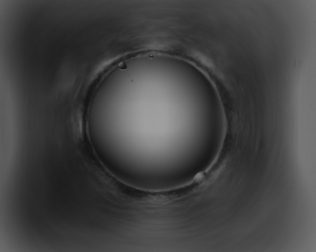 X0000100401214200806061309