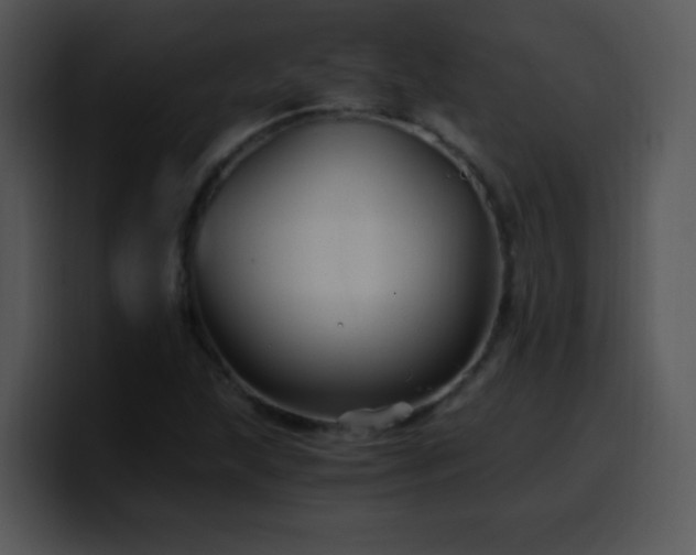X0000100401215200806061309