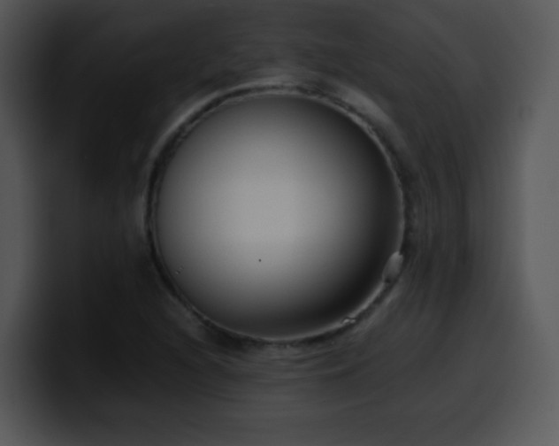 X0000100401216200806061309
