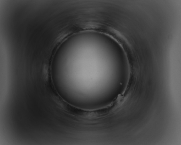 X0000100401217200806061309