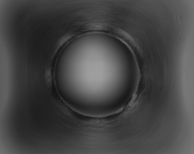 X0000100401218200806061309