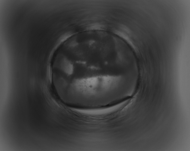 X0000100401219200806061309