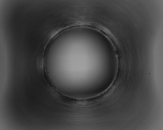 X0000100401220200806061309