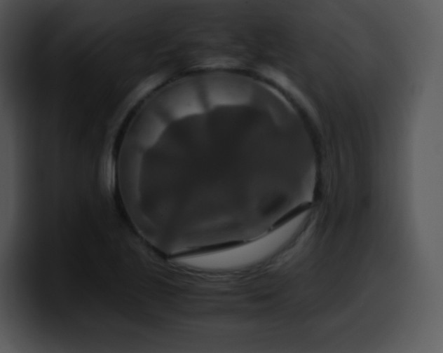 X0000100401221200806061309
