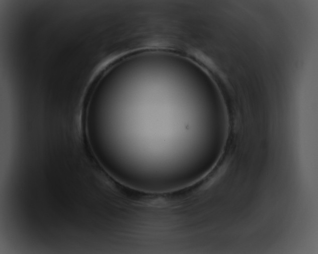 X0000100401222200806061309
